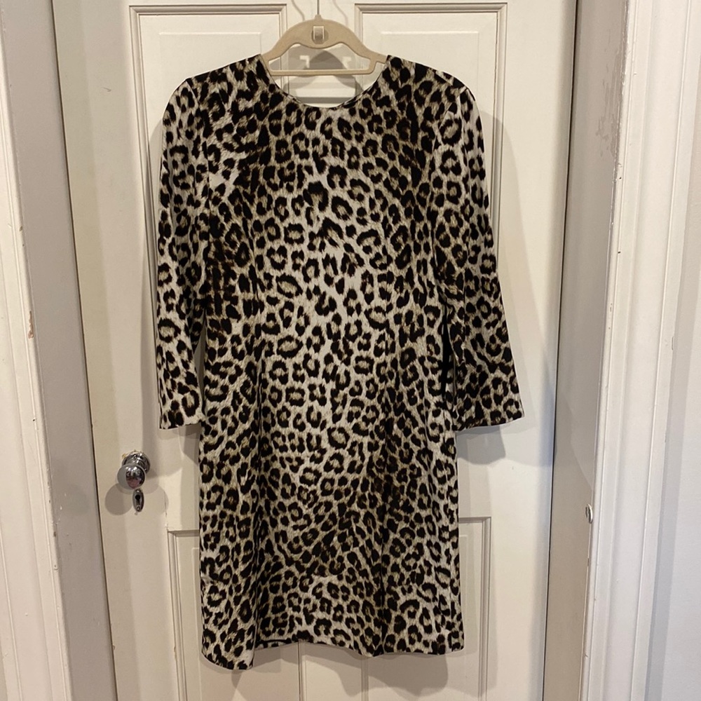 Rag and Bone silk Isadora dress
